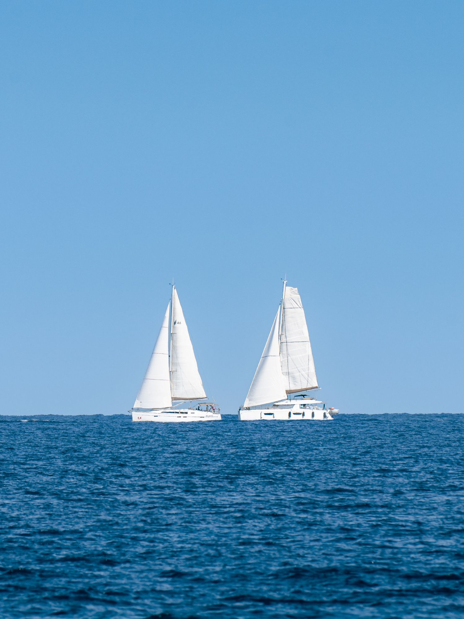 White sailboats racing across deep blue waters under clear skies.