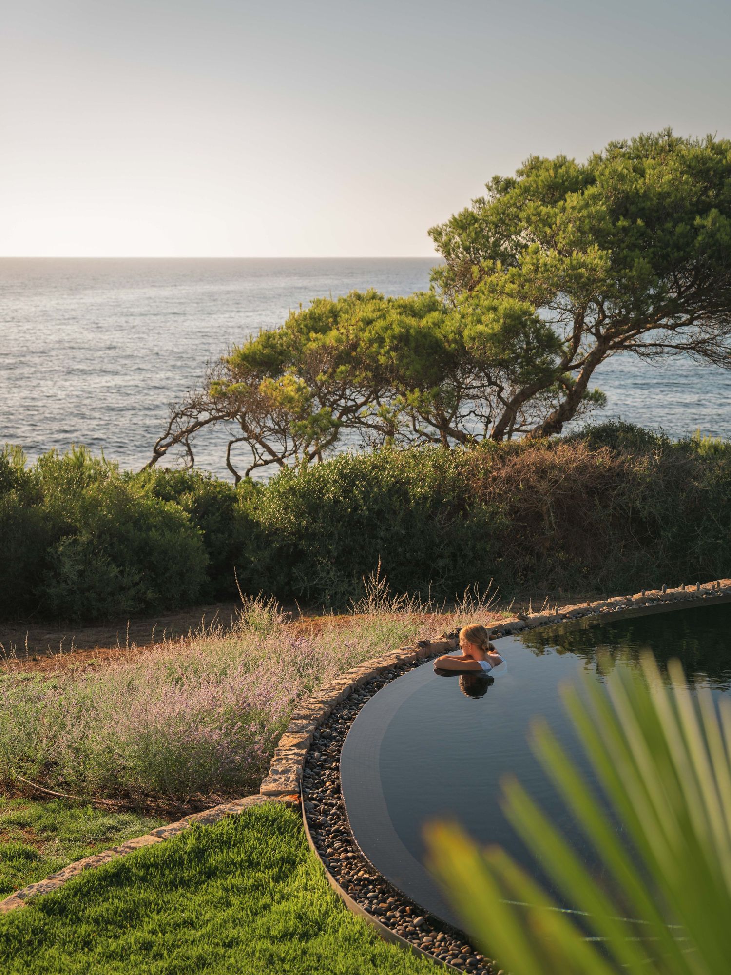 Serene infinity pool overlooking the ocean with pine trees framing the view.