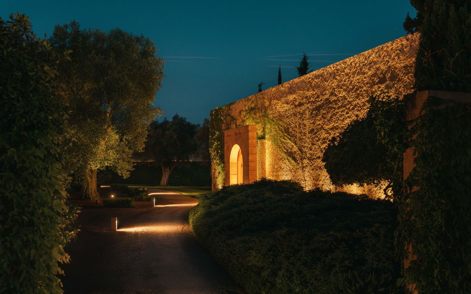 Illuminated stone pathway through trees at night creates a warm ambiance.