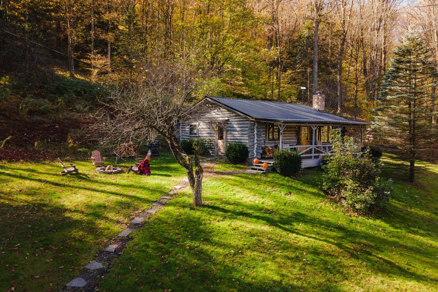 Sunlit forest clearing with green grass and cabin visible through trees.