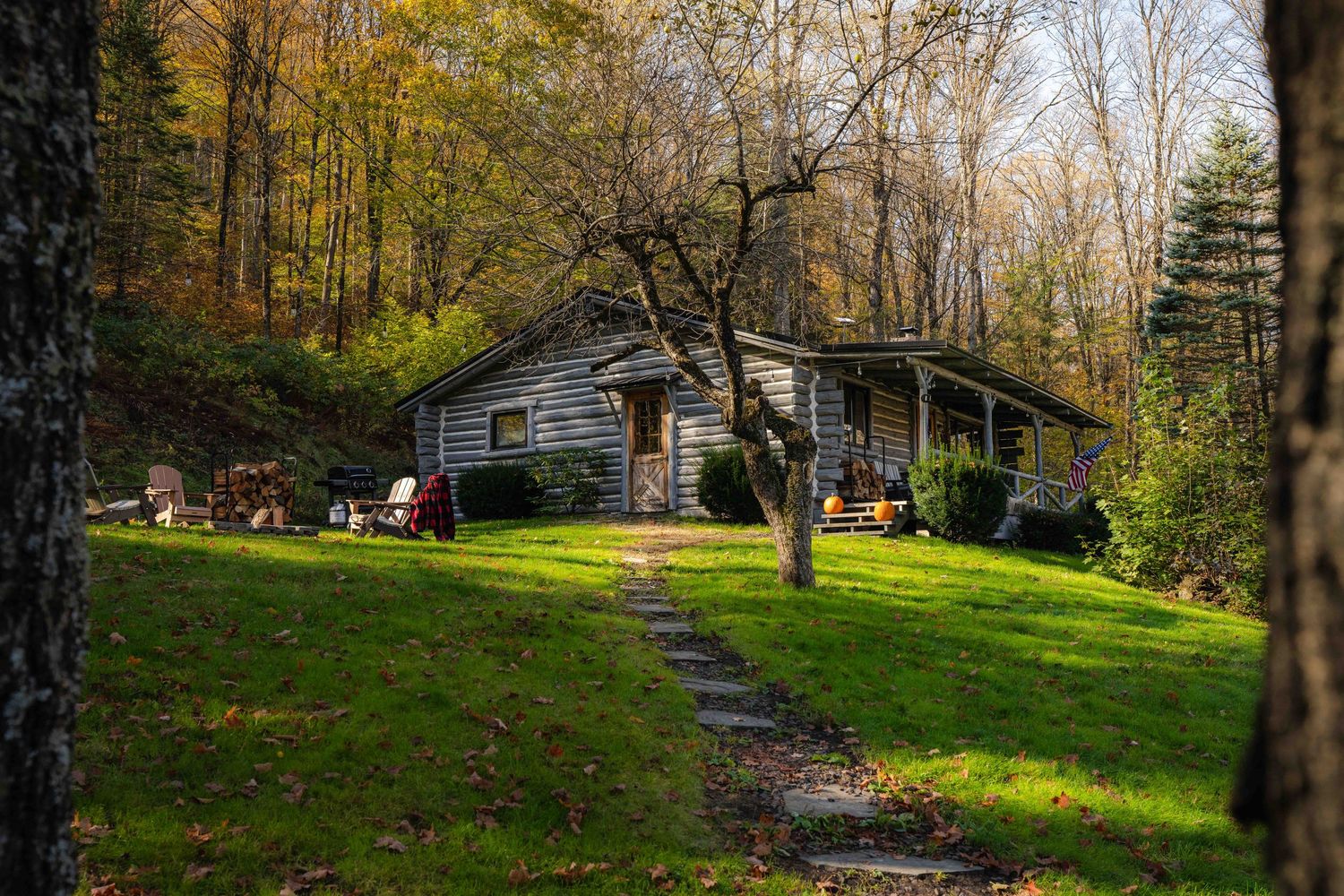 Panoramic view of a rustic cabin nestled in a lush green forest clearing during spring.