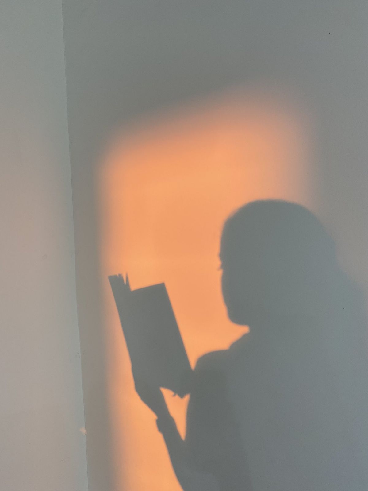 book silohette