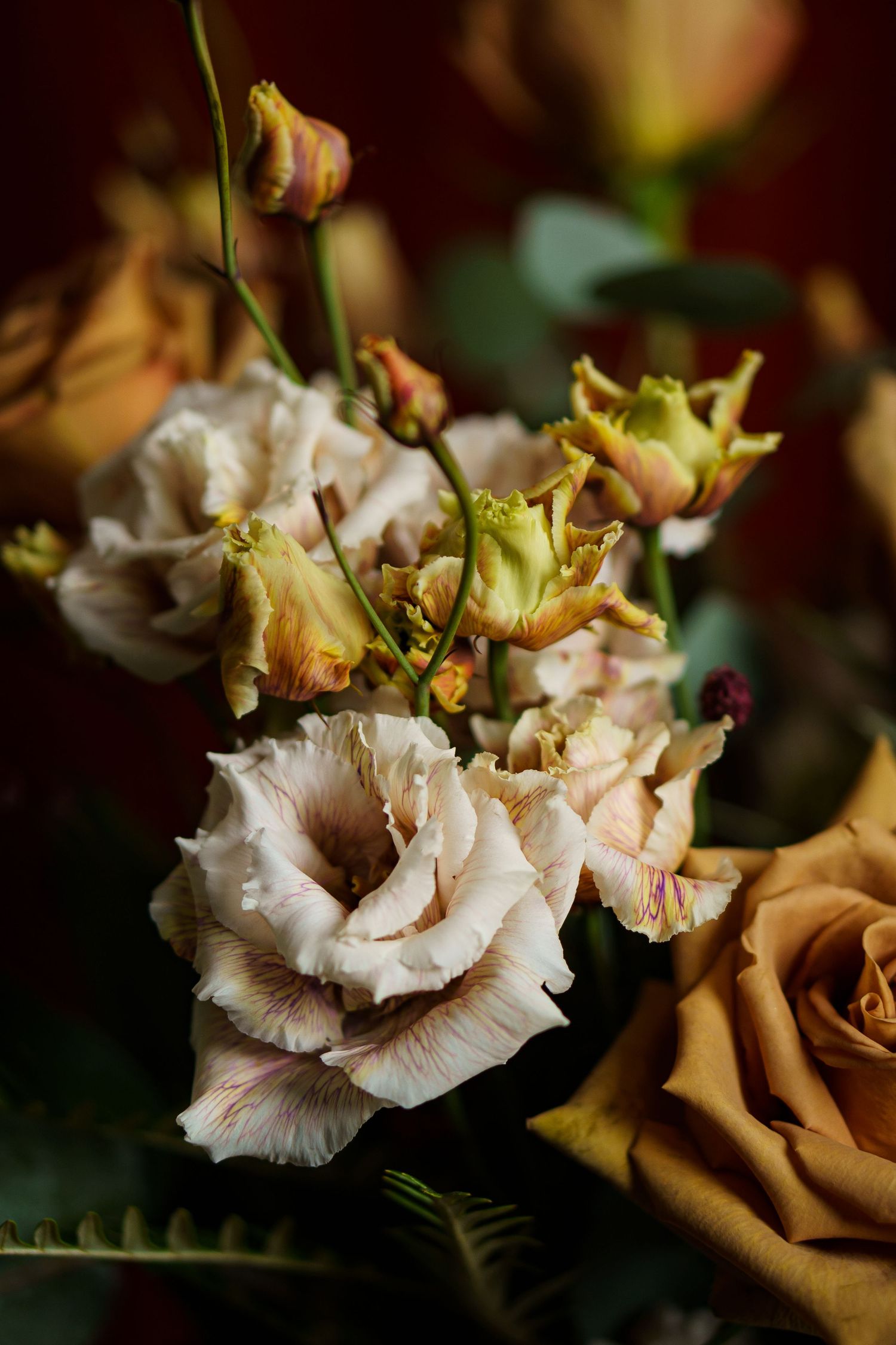 A series of delicate beige and cream roses in various stages of bloom arranged in a soft, romantic composition.