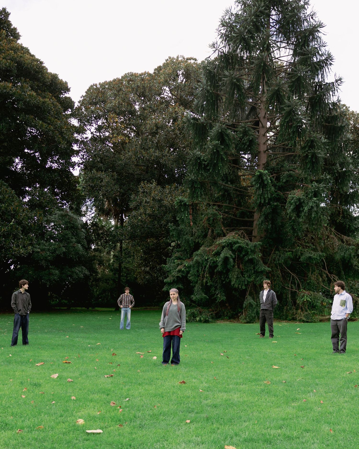 Five people standing apart on a green lawn surrounded by tall trees in a park.