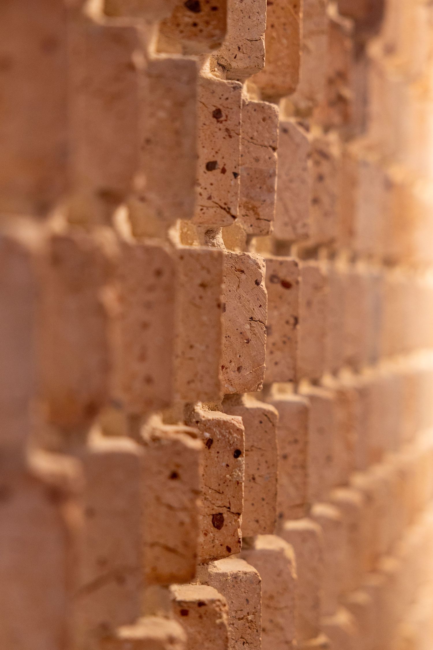 Close-up of a textured sandy brick wall with porous surface, warm orange tones, and shallow depth of field.