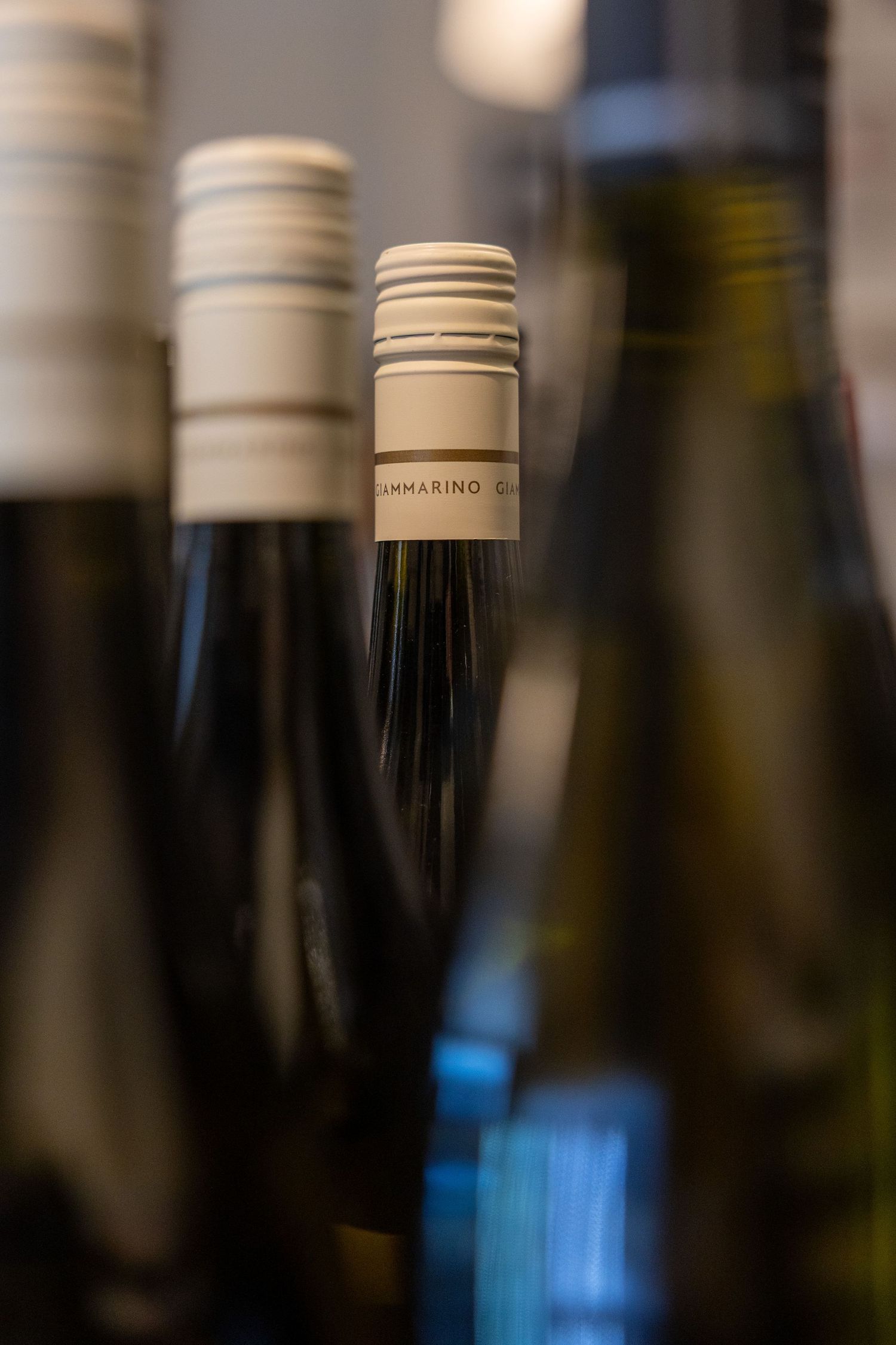 Close-up of wine bottles with a Gammarino label in focus among blurred bottles in a wine collection.