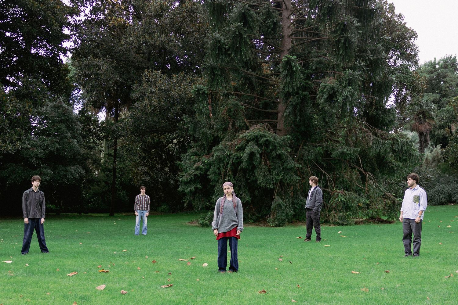 Five people standing apart on a green lawn surrounded by tall trees in a park setting.