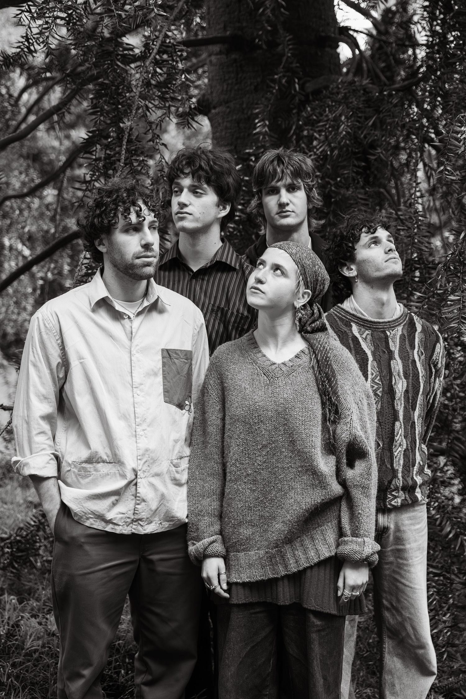 Black and white photo of four young people gazing upward among evergreen trees.