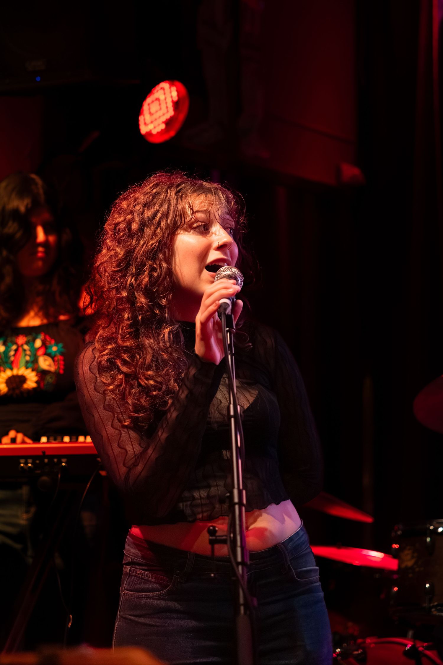 A singer performs passionately on stage under dramatic red lighting at a concert venue.