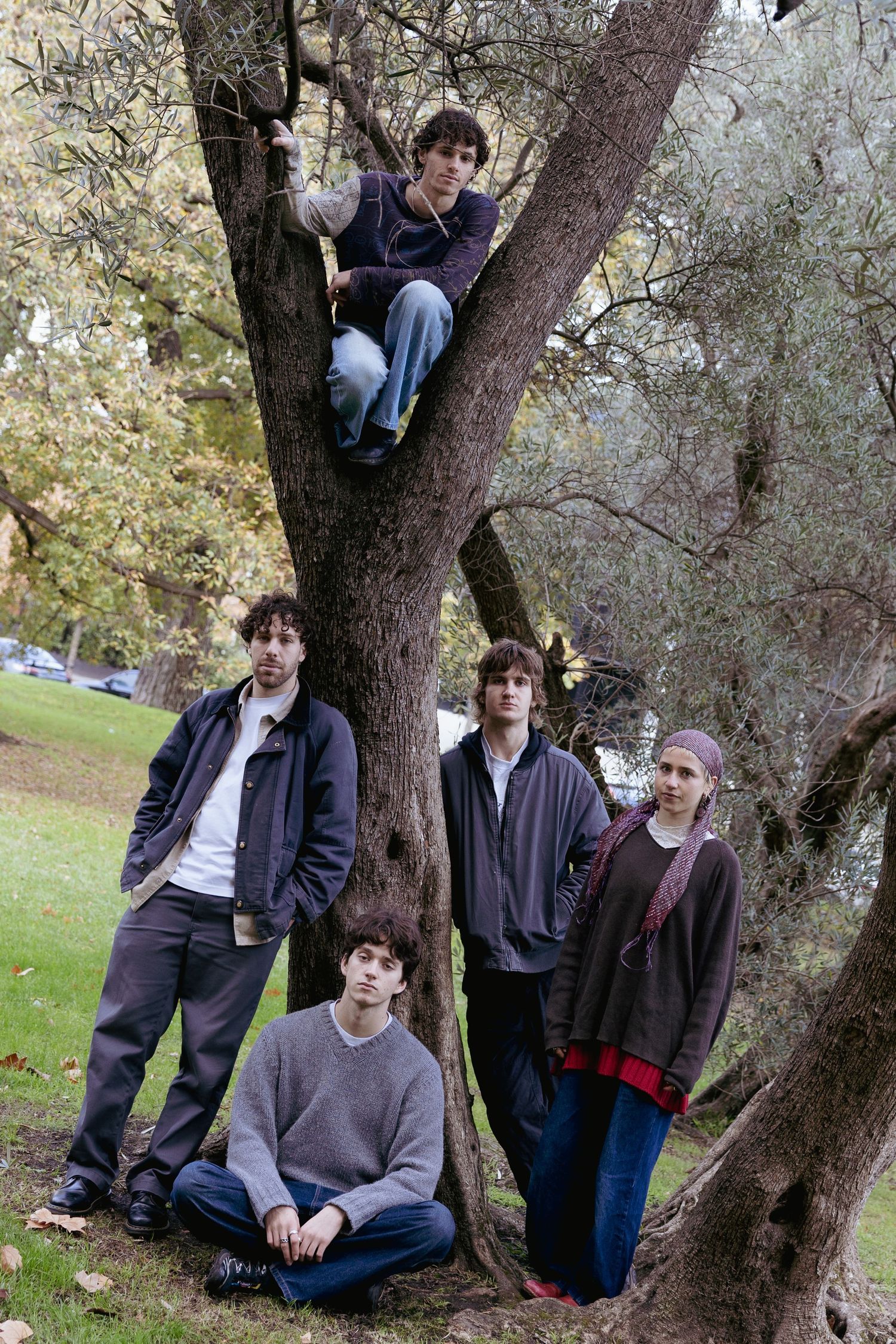Five young people arrange themselves around a park tree, one perched in branches, four standing below.