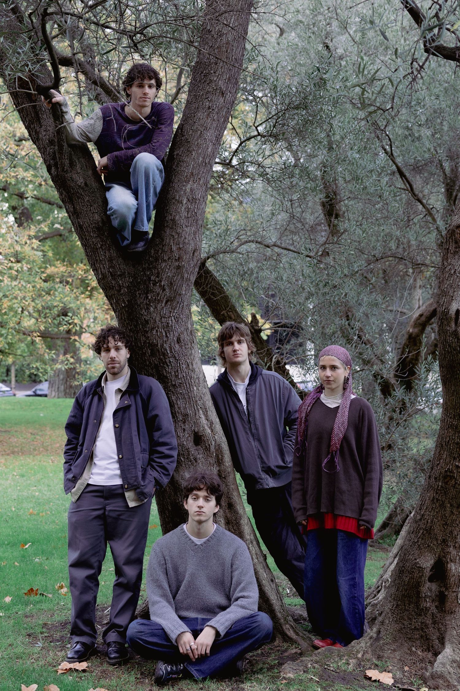 Five young people pose around a large tree trunk in a park, one sitting in branches above.