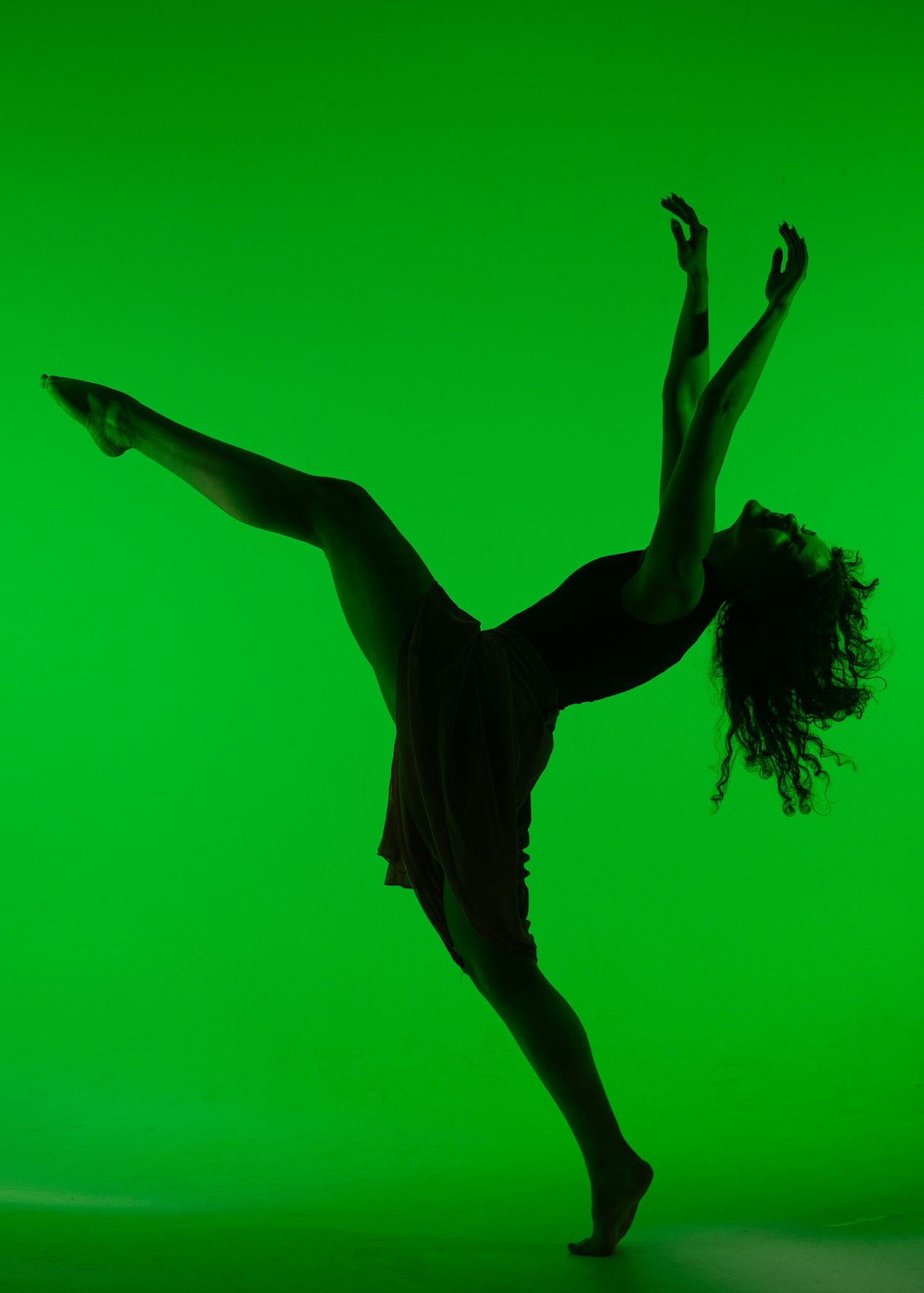 Dancer in silhouette performs a high kick against a bright green background with curly hair flowing.