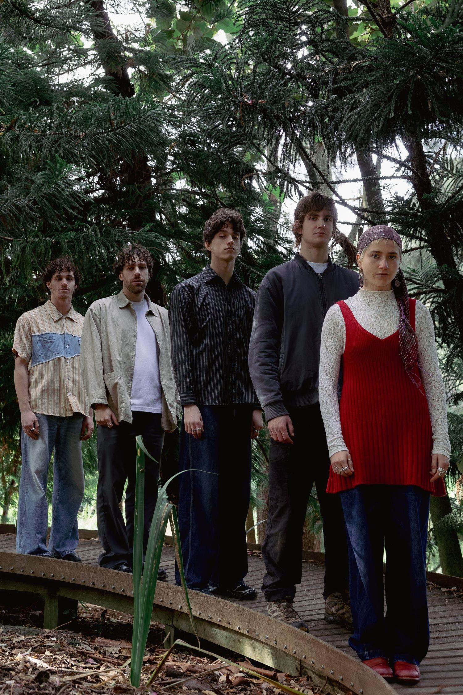 Five young people standing on a wooden boardwalk surrounded by lush green trees in a forest setting.