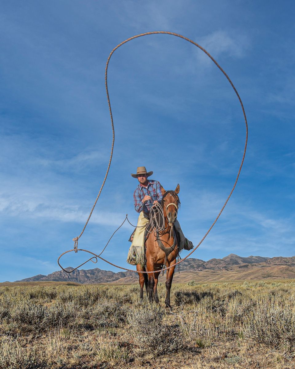 Cowboy on horseback swinging a lasso rope in an open prairie landscape with mountains and blue sky.