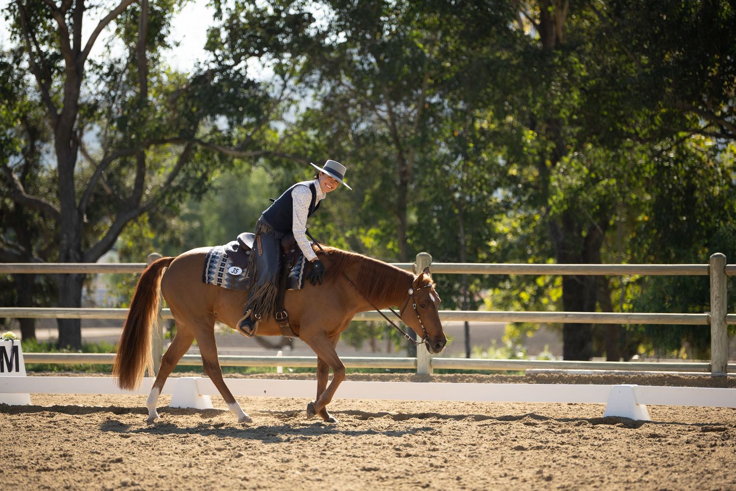 Equestrian in hat and dark attire rides a chestnut horse in a sandy outdoor arena among trees.