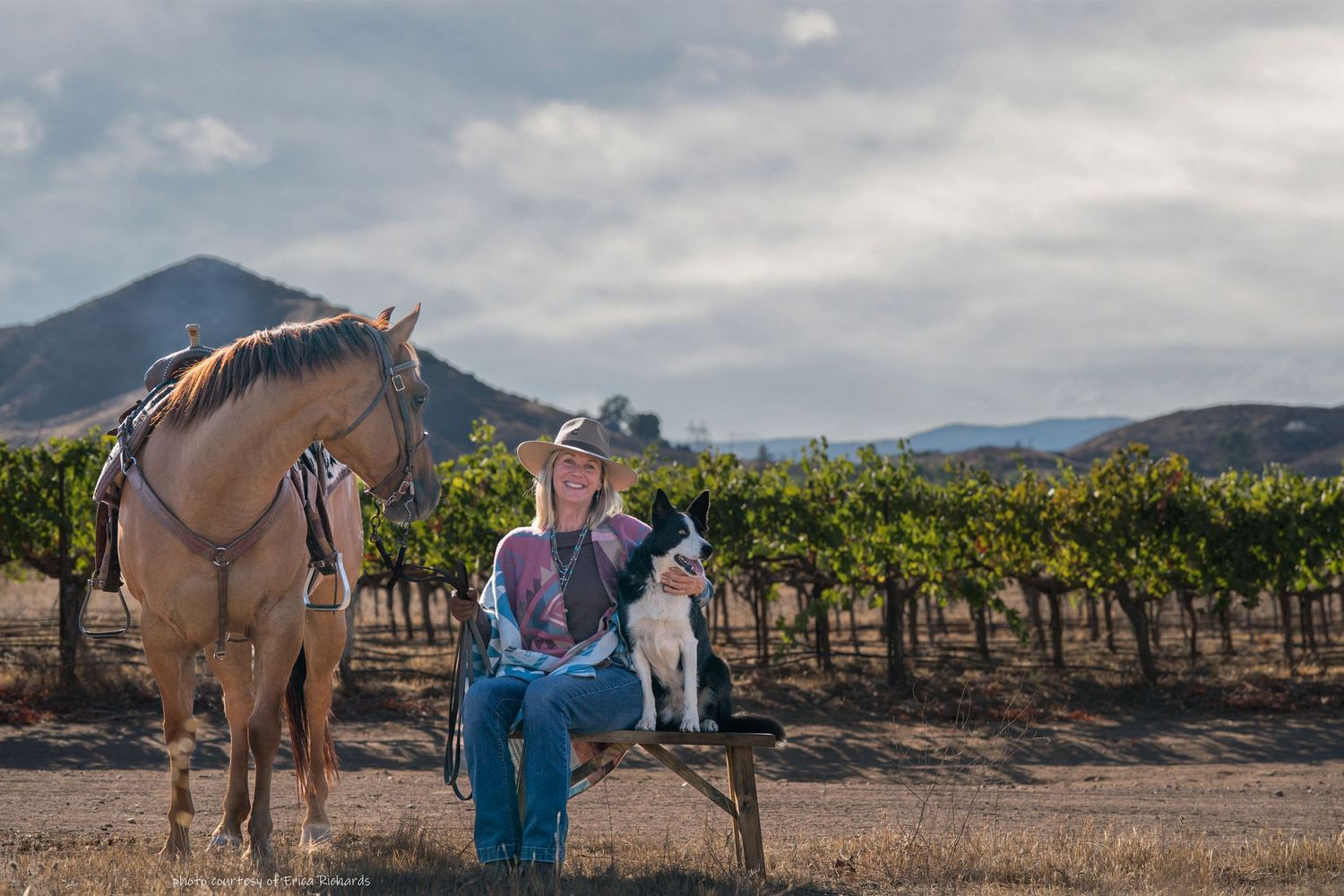 Woman in cowboy hat sits with a horse and border collie dog in a scenic vineyard landscape.
