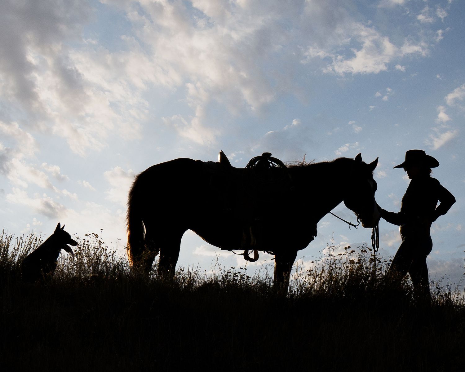 Silhouette of cowboy with saddled horse and dog on hilltop against dramatic cloudy sunset sky.