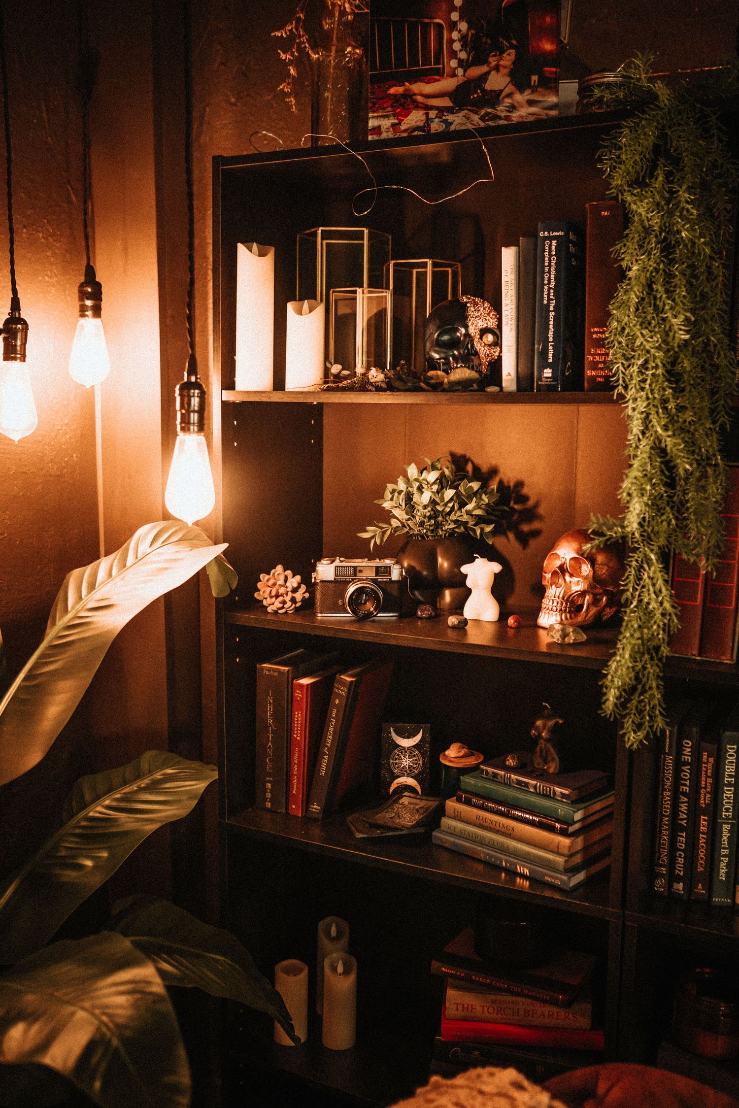 Cozy reading nook with hanging Edison bulbs and vintage decor on wooden shelves.