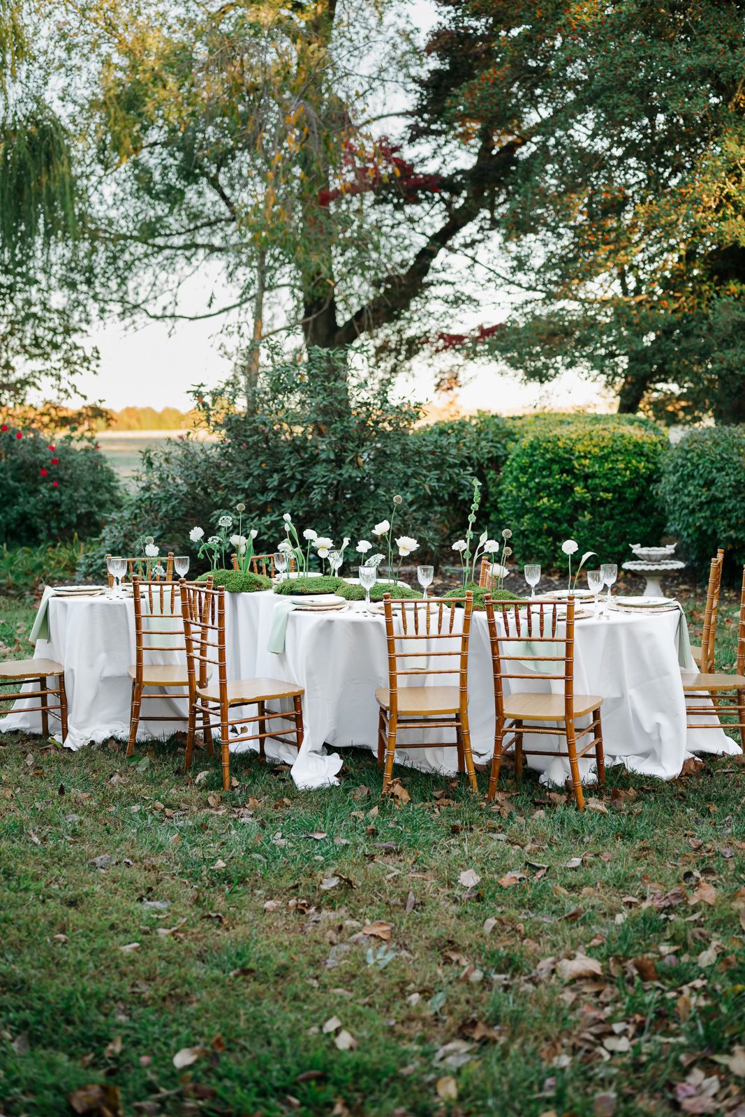 White-clothed dining tables with wooden chairs arranged outdoors under trees for an elegant garden party setting.