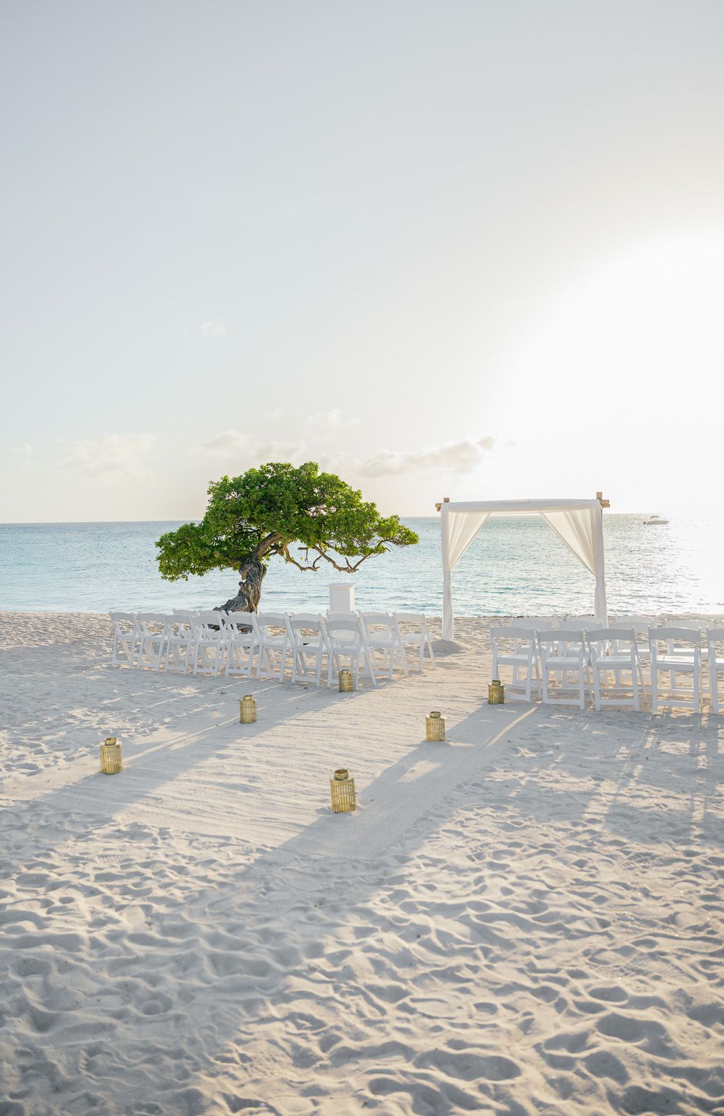 White wedding arch and chairs set up on a pristine beach with a lone tree creating a romantic seaside ceremony setting.