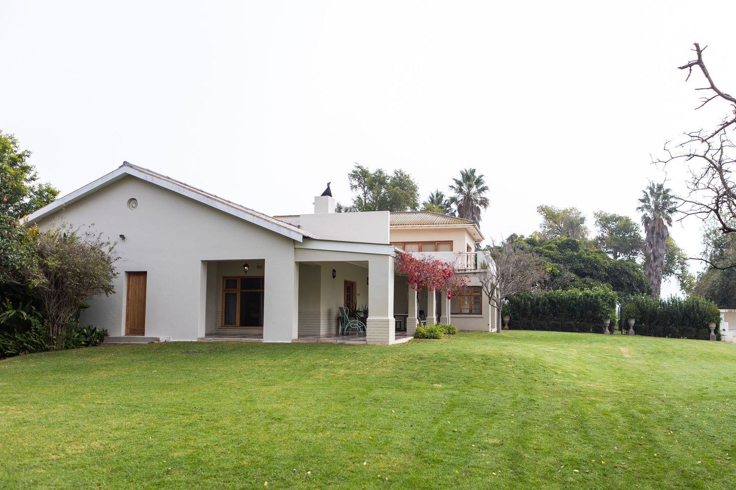 White single-story villa with lush green lawn, palm trees, and blooming bougainvillea in a serene garden setting.