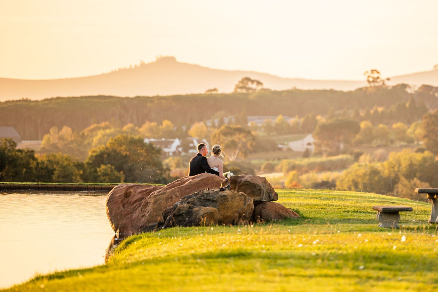 Rolling hills and vineyard landscape captured in warm sunset lighting.