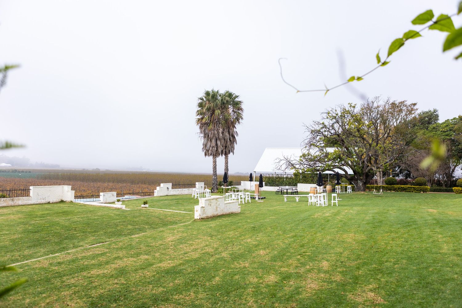 Lush green lawn wedding venue with white chairs, palm tree, and misty countryside backdrop.