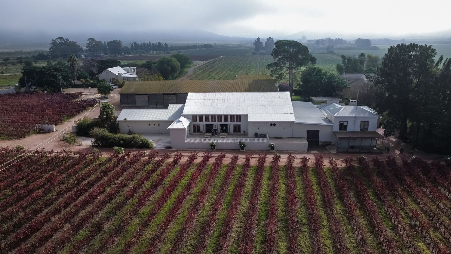 Aerial view of a winery estate surrounded by lush red and green vineyards under a misty sky.