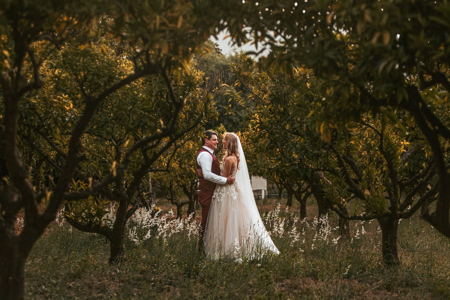 Bride and groom embrace romantically among lush orchard trees in golden light during outdoor wedding photo session.
