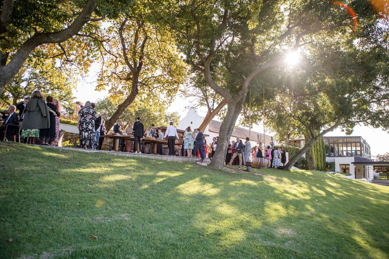 Golden sunlight streams through trees across a grassy lawn during an outdoor event.