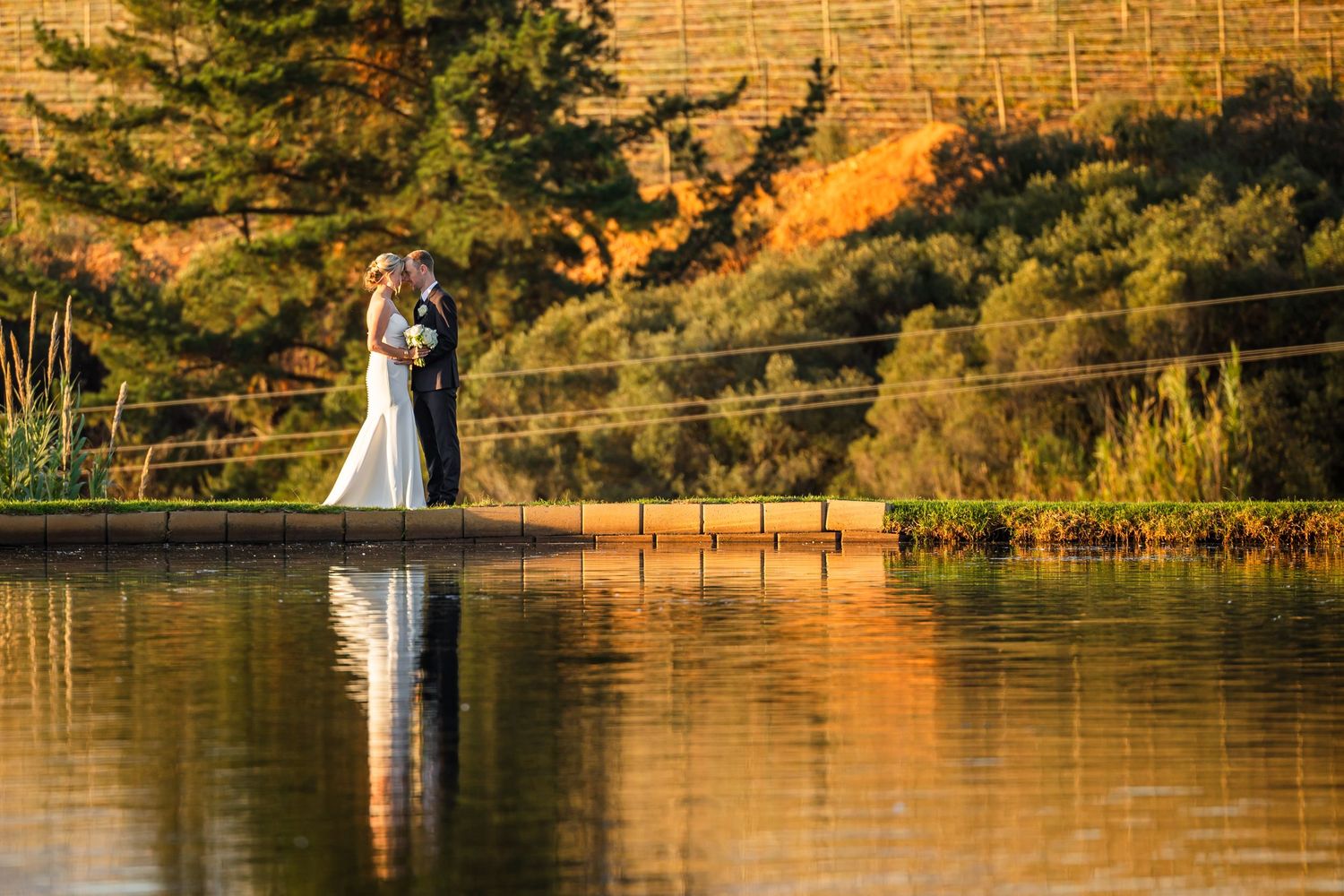 Scenic lake landscape with golden sunset light reflecting on calm waters and wooden posts along the shoreline.