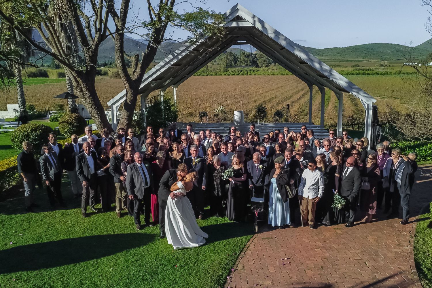 Aerial view of large wedding group photo with bride and groom among vineyard backdrop.