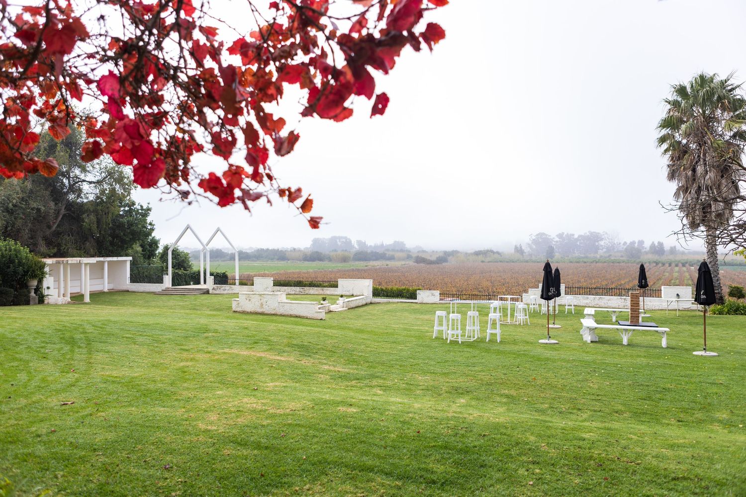 Outdoor wedding venue with white furniture, arch, and lush green lawn framed by red autumn leaves and a palm tree.
