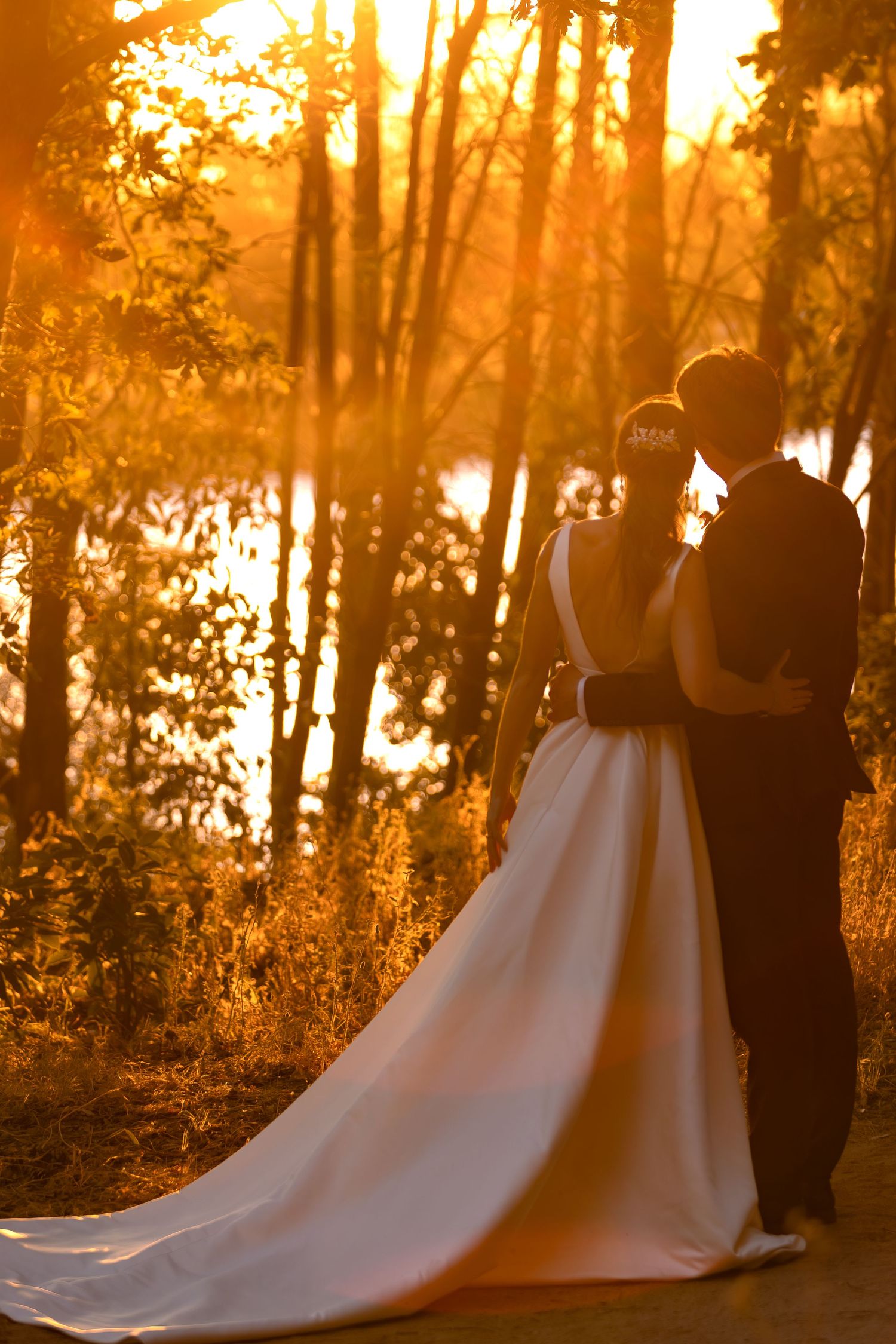 Wedding couple's silhouette against golden sunlight filtering through forest trees during sunset.