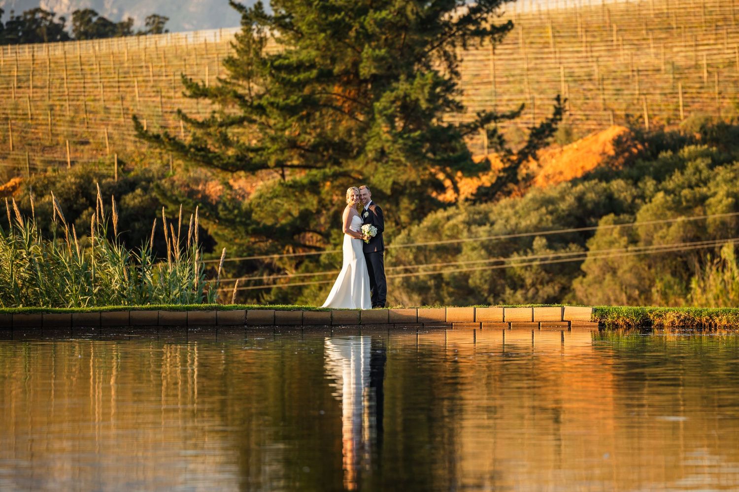 Wedding couple photographed at sunset by golden pond with trees in background.