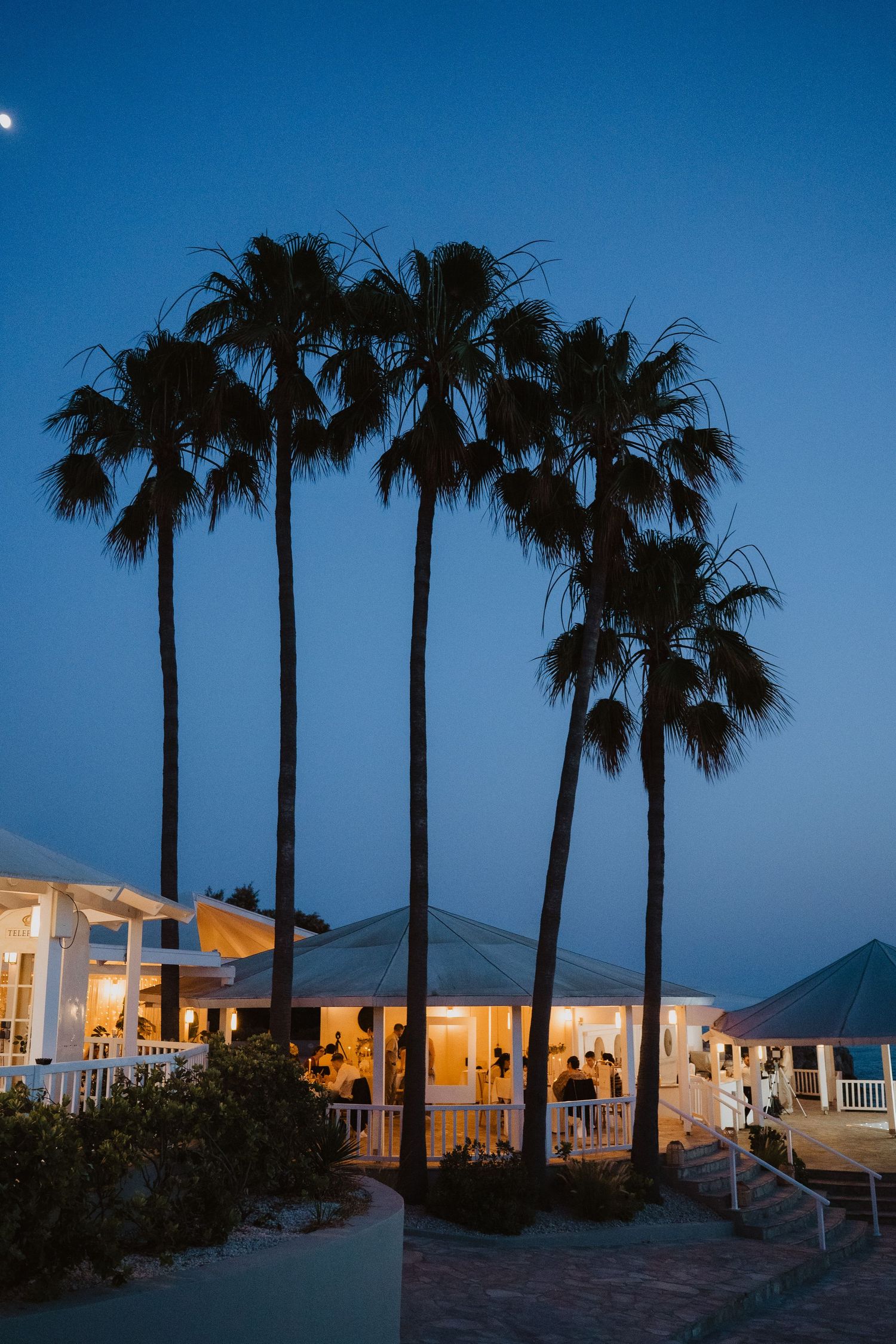 Tall palm trees silhouetted against a deep blue dusk sky above a warmly lit coastal wedding venue.