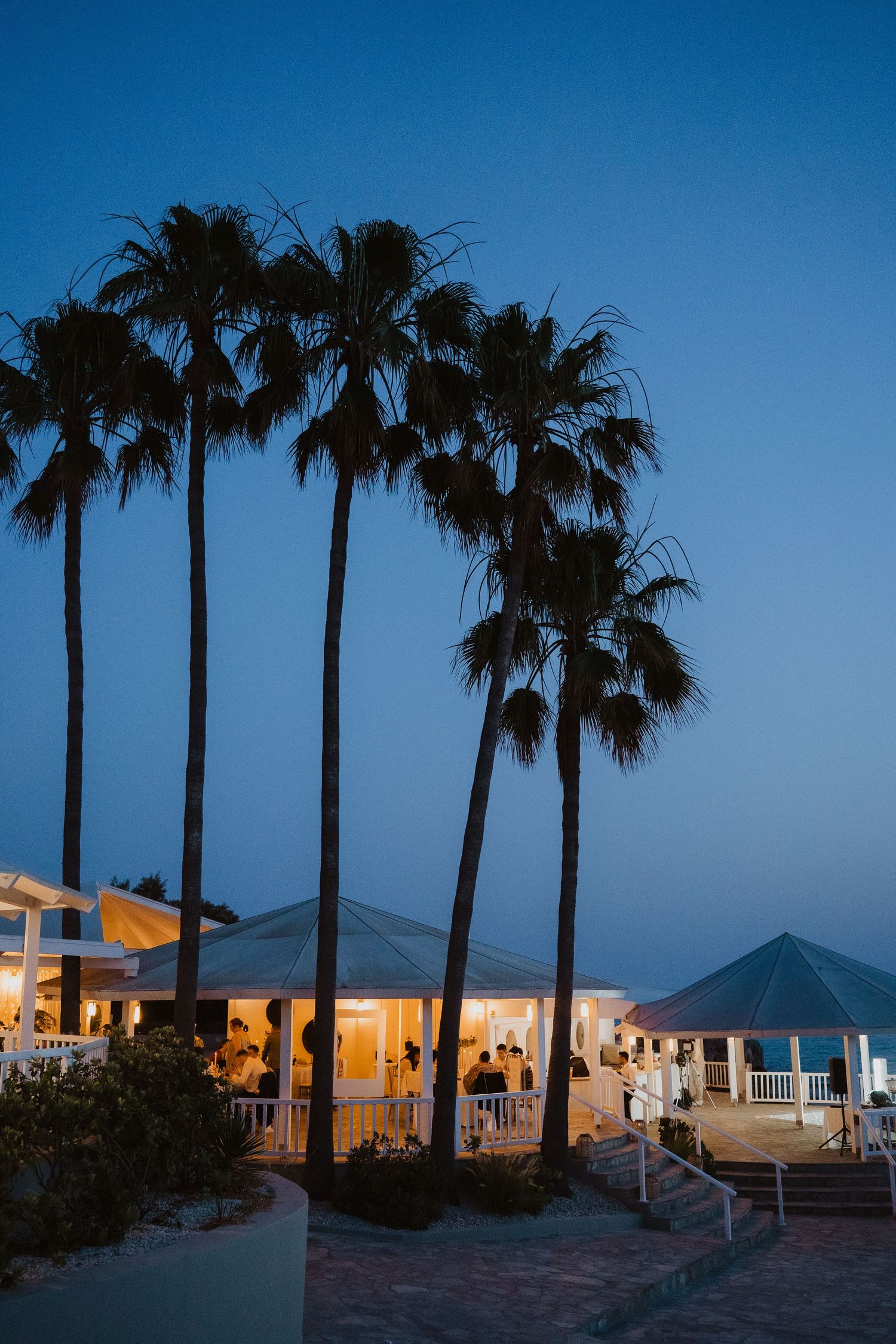 Tropical wedding venue at dusk with tall palm tree silhouettes against deep blue sky and warm interior lights.