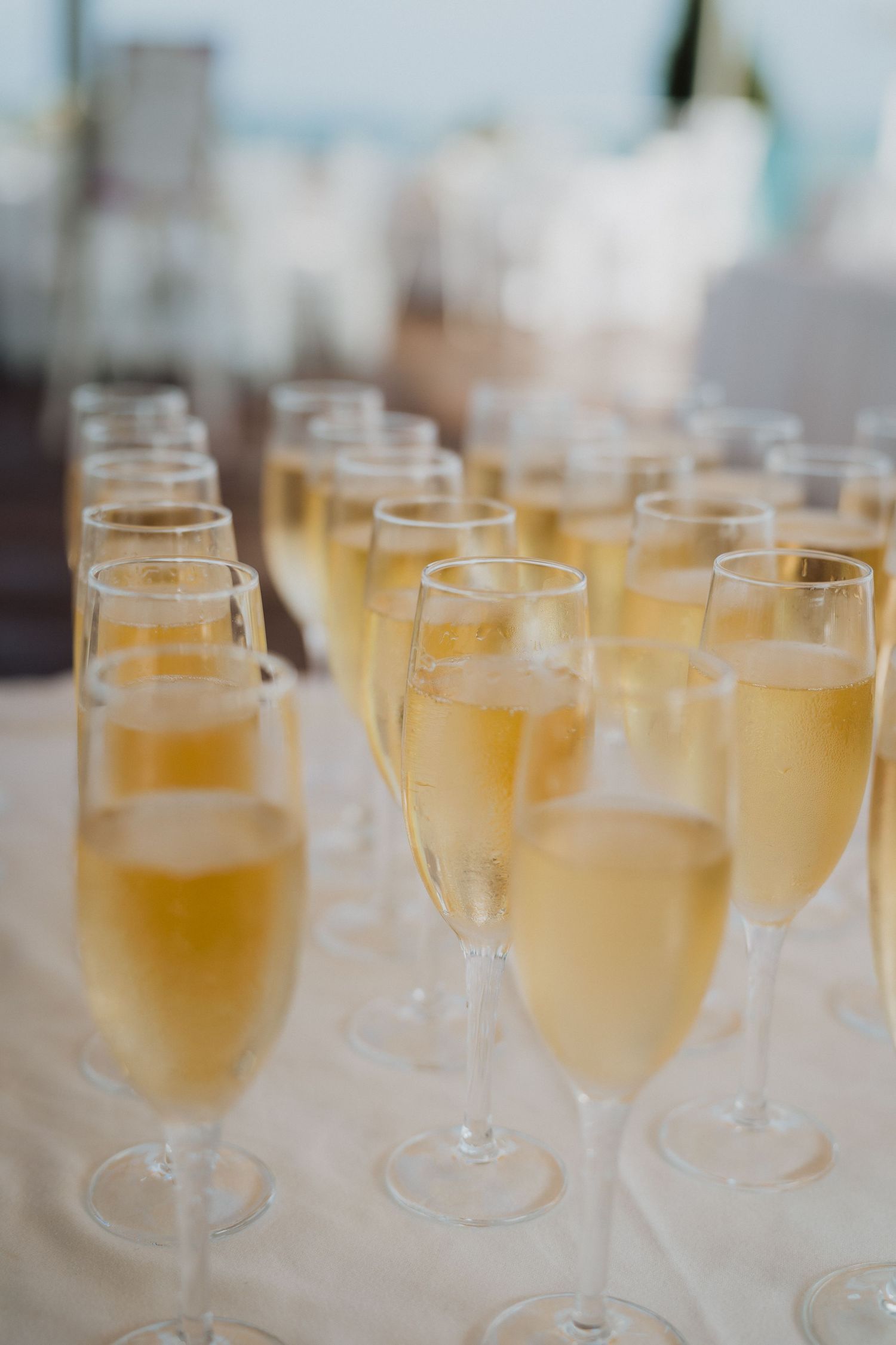 Rows of champagne flutes filled with golden bubbly drinks for wedding toast.
