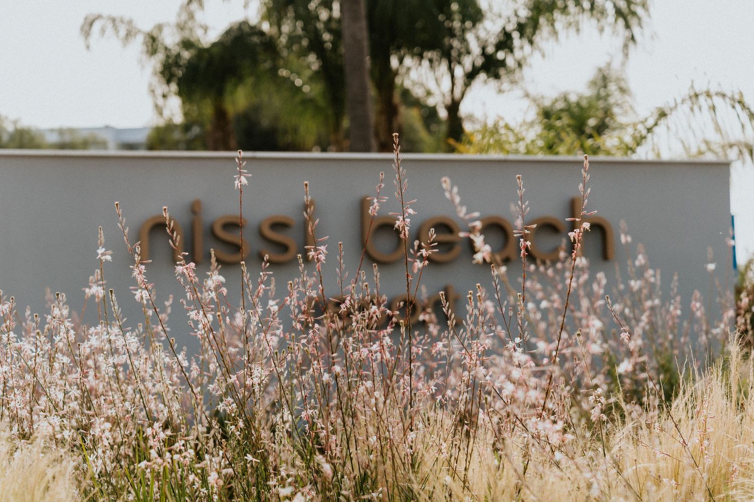 Rustic 'Nissi Beach' sign with soft blurred pink wildflowers and palm trees in background.
