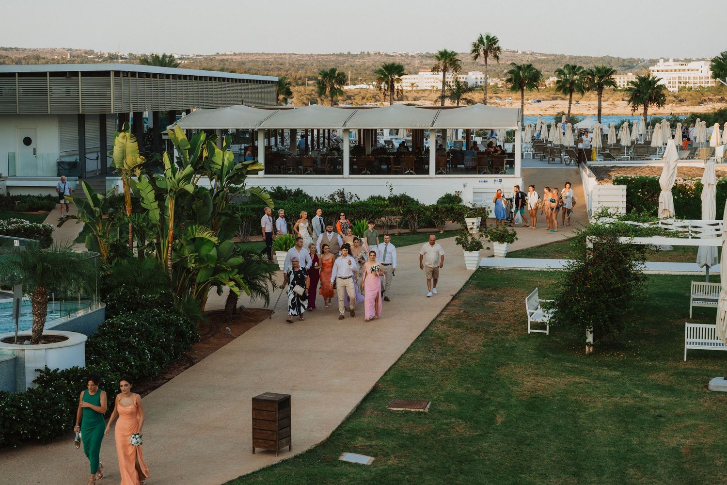 Tropical wedding venue walkway with palm trees and guests enjoying the outdoor setting.
