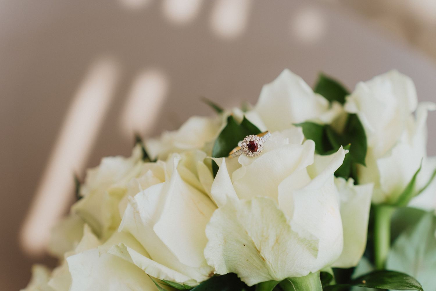 Close-up of fresh white roses with green leaves in soft focus.