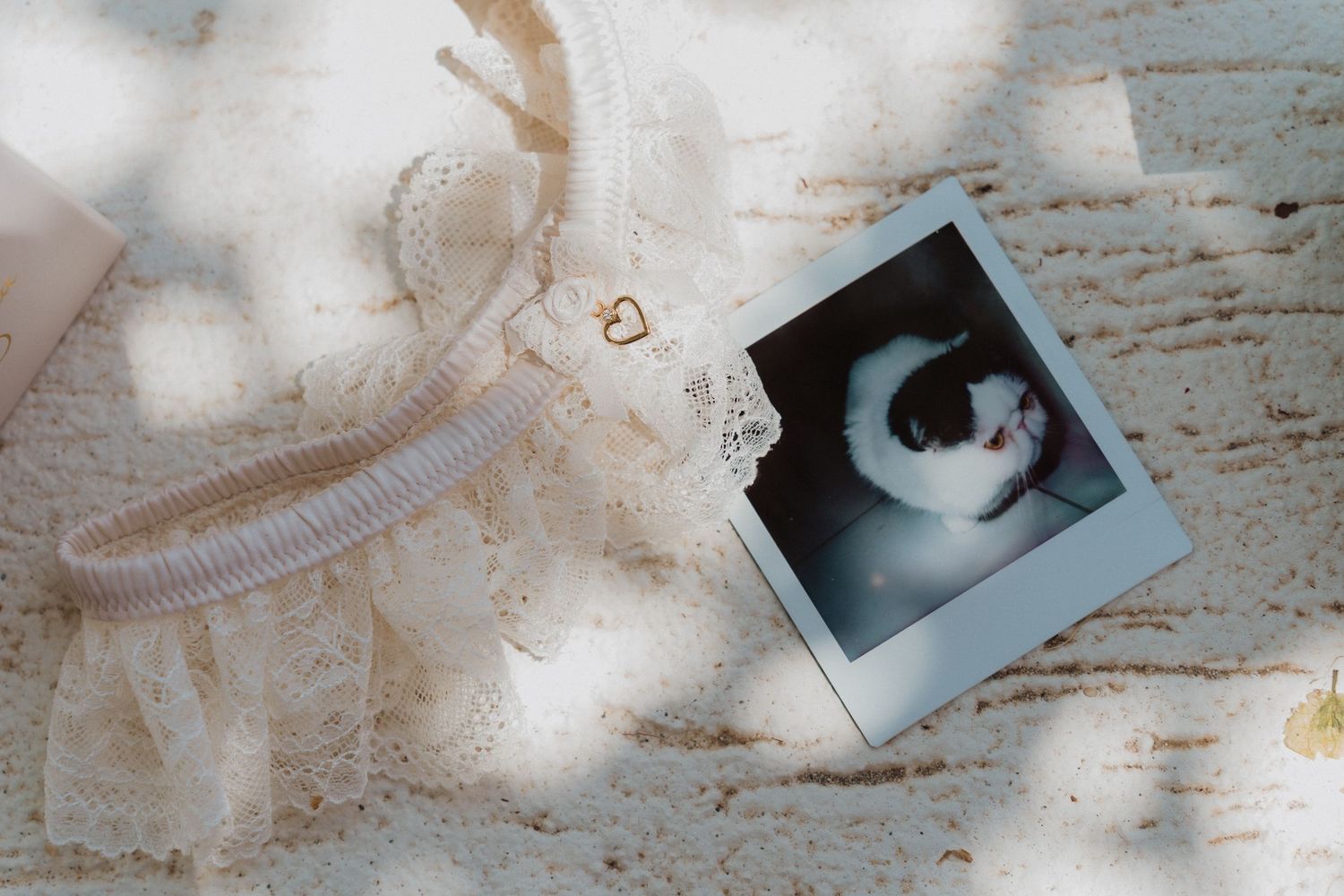 A Polaroid photo of a black and white cat rests on a white surface beside a lace bag in soft natural light.