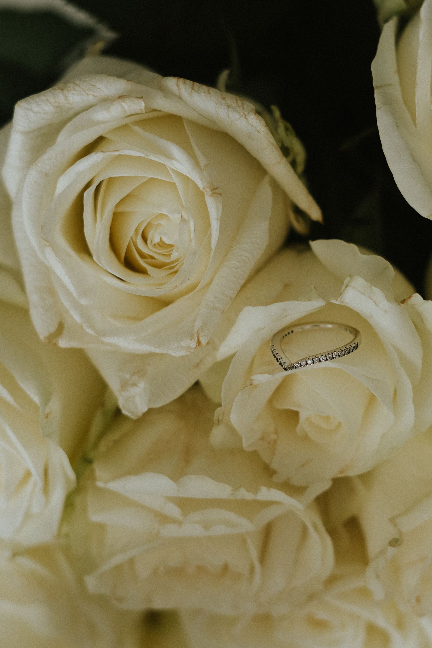Close-up of white roses with a wedding ring nestled in between delicate petals.