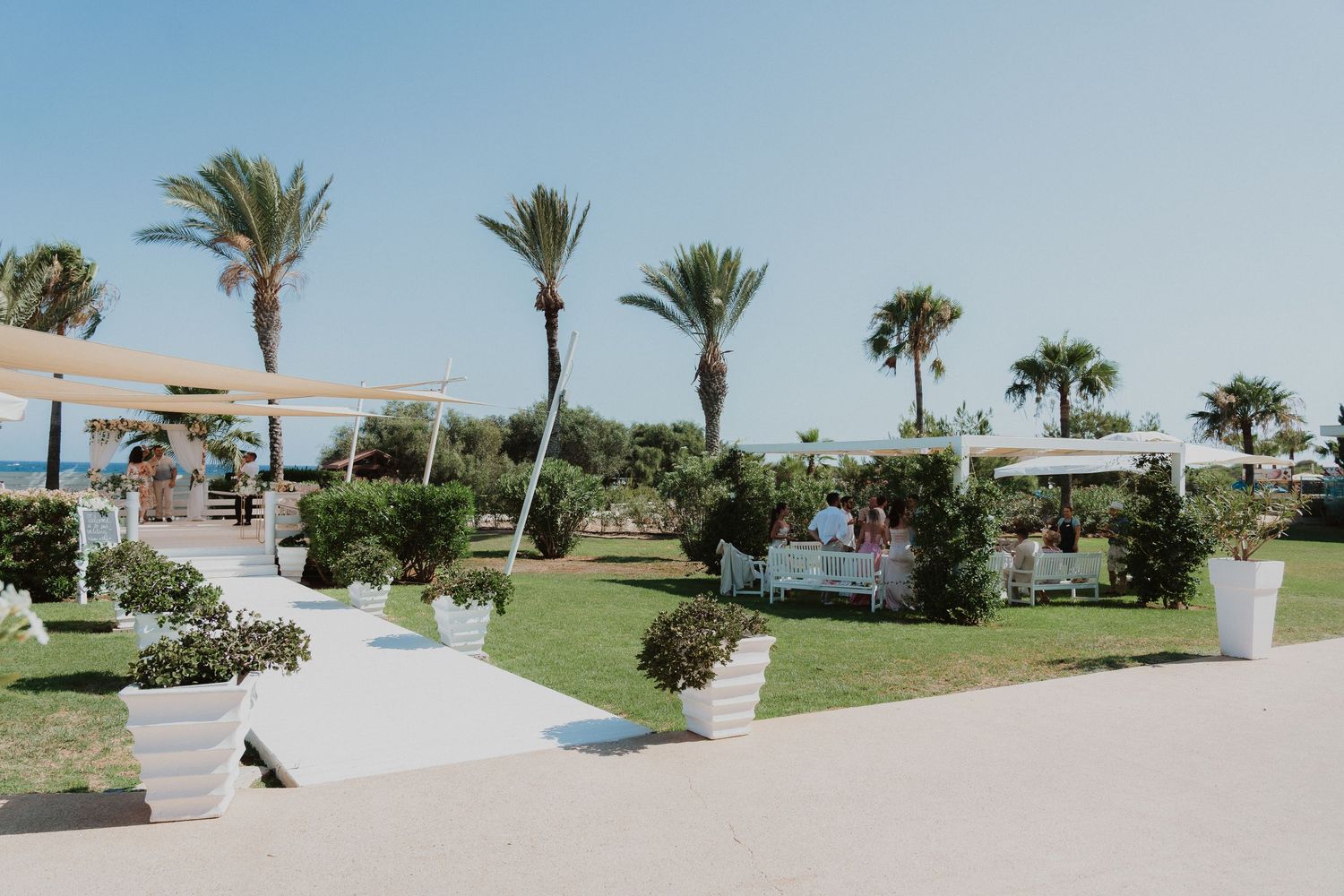 Resort wedding venue landscape with palm trees and white pathways under blue sky.