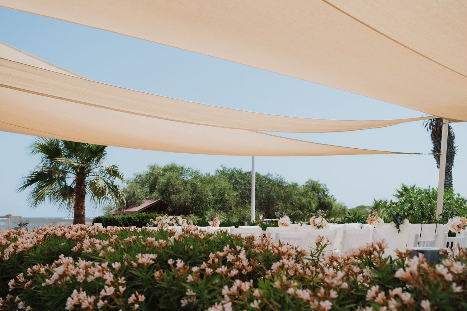 Outdoor wedding venue with cream-colored shade sails and blooming pink flowers.