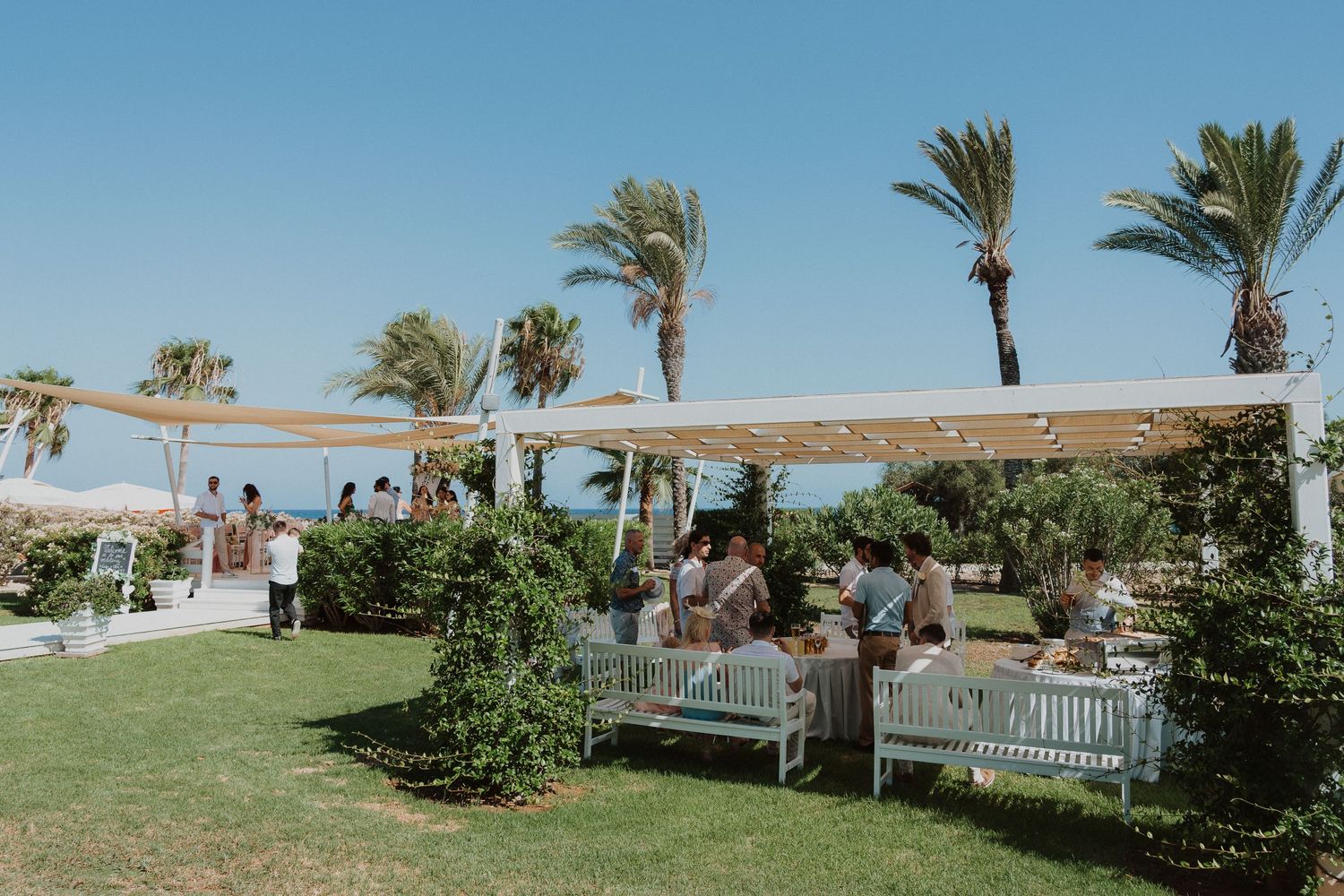 Outdoor wedding venue with palm trees and white benches under beige fabric canopies.