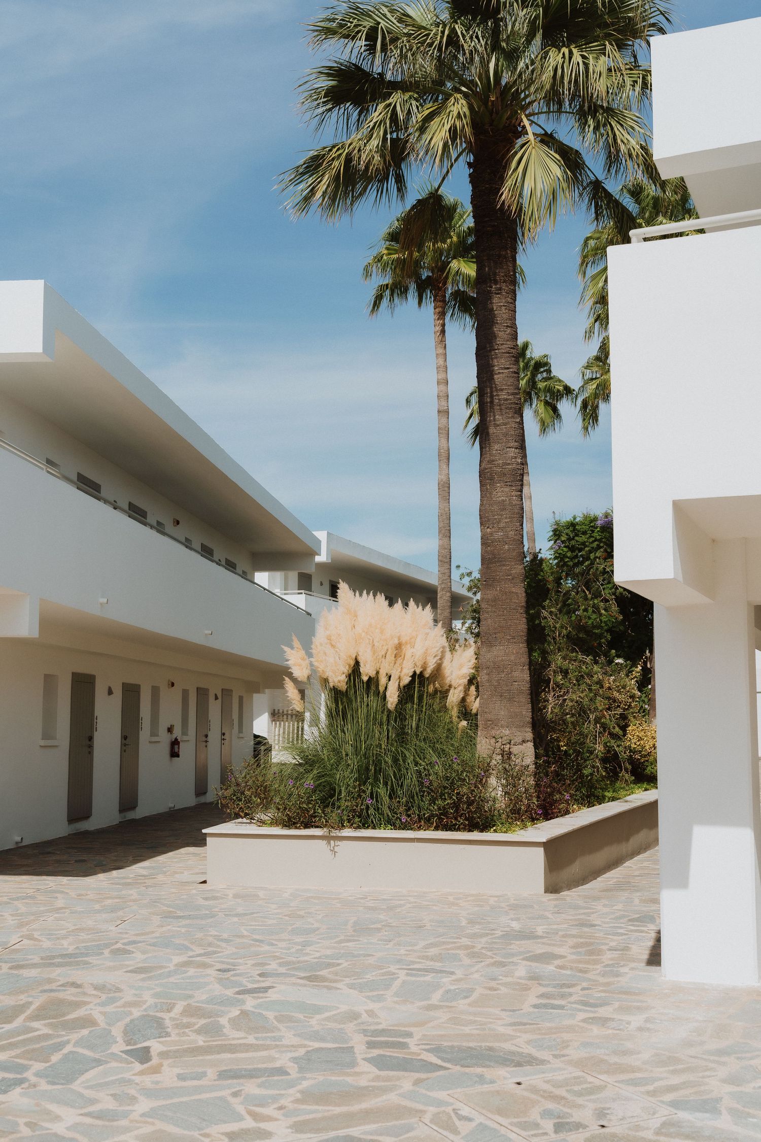 Modern white Mediterranean resort building with tall palm trees and stone paved courtyard under bright blue sky.