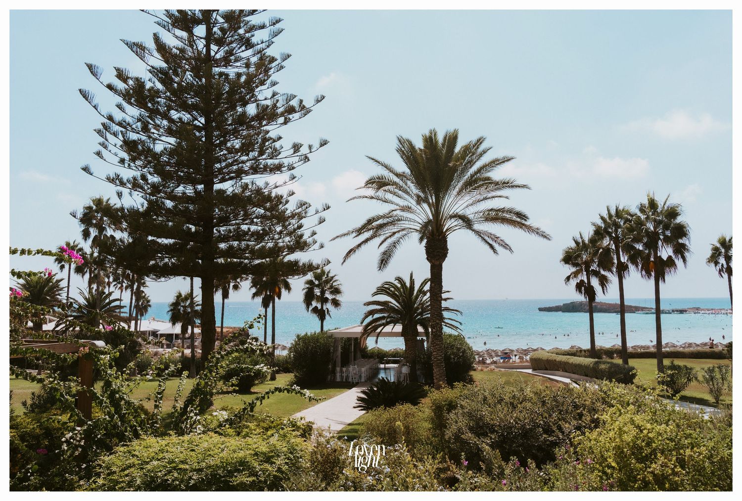 Oceanfront wedding location with palm trees and natural landscaping against a blue horizon.