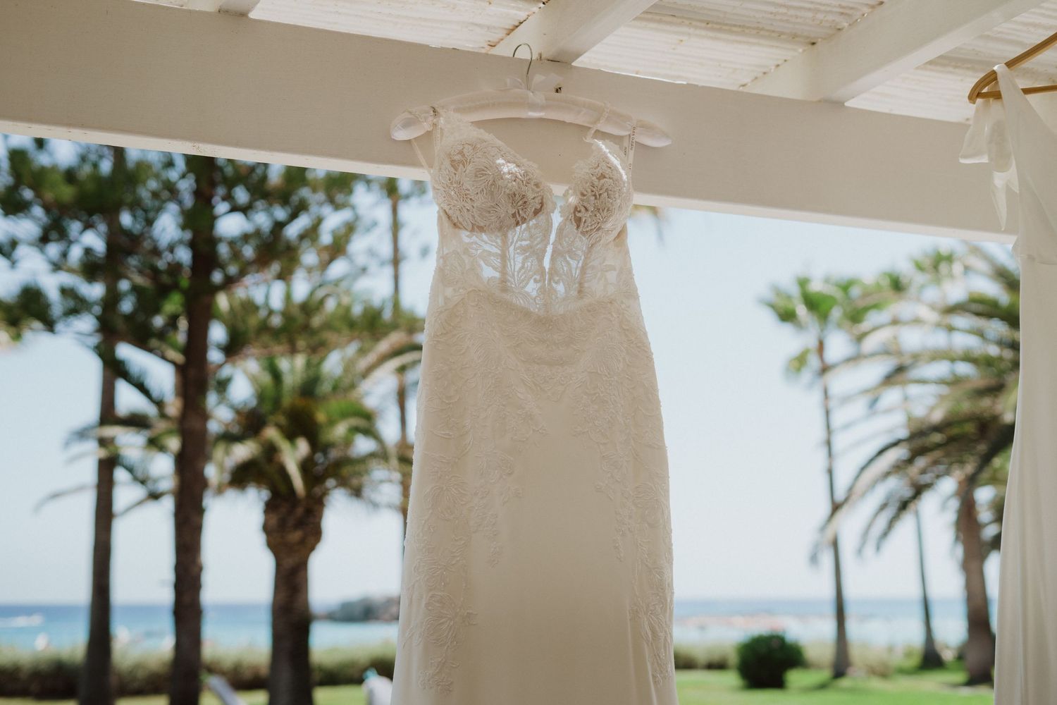 Elegant white wedding dress hanging against a tropical palm tree backdrop near the ocean.