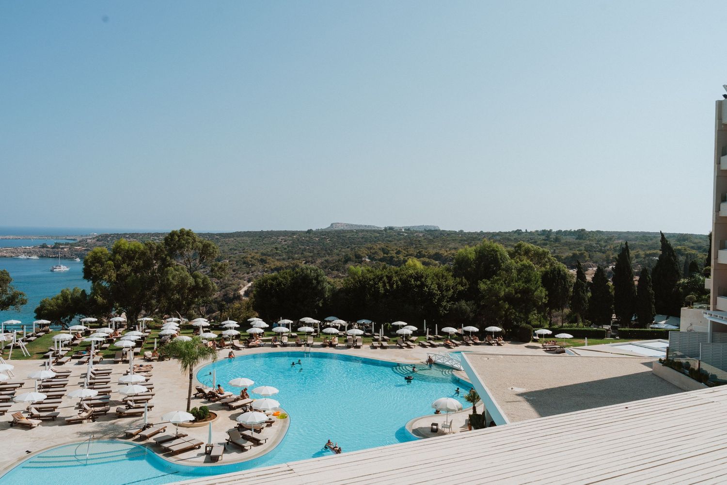 Luxury resort swimming pool overlooking beautiful blue coastline with lounge chairs and palm trees on a sunny day.
